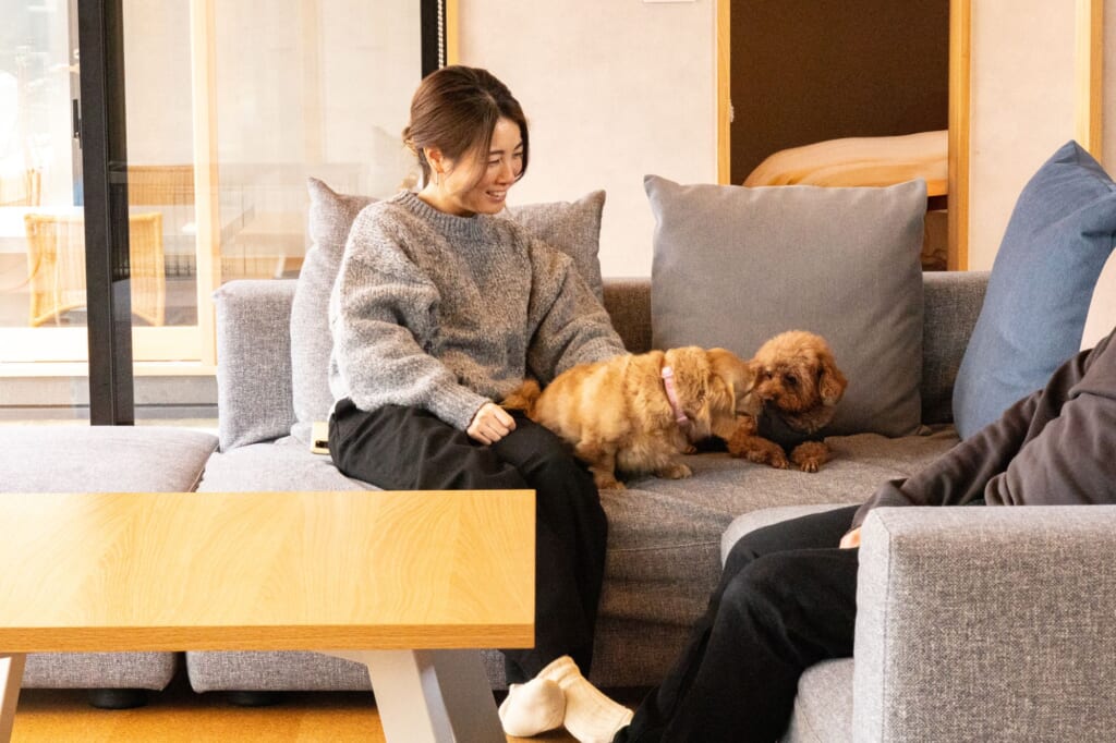 グランデ ドギーズリゾート京都天橋立のリビングでソファに上がる2頭の愛犬