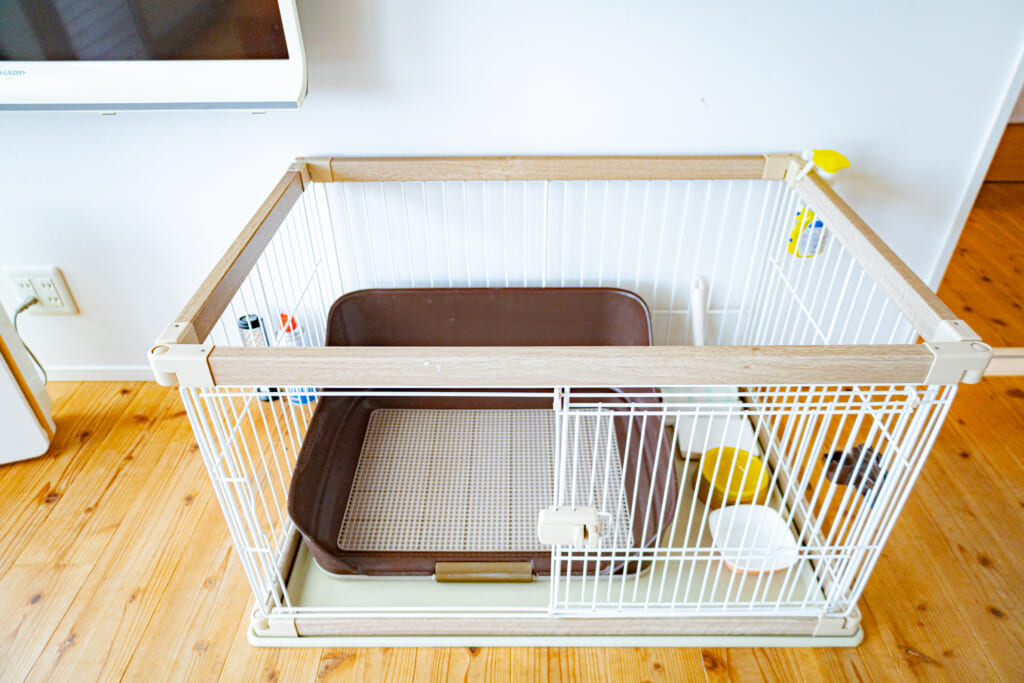 ドッグランヴィラⅠ・Ⅱに常設された室内用小型サークルと犬用マット