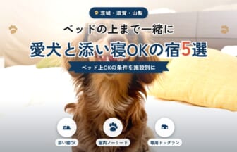 愛犬と添い寝OKの宿5選