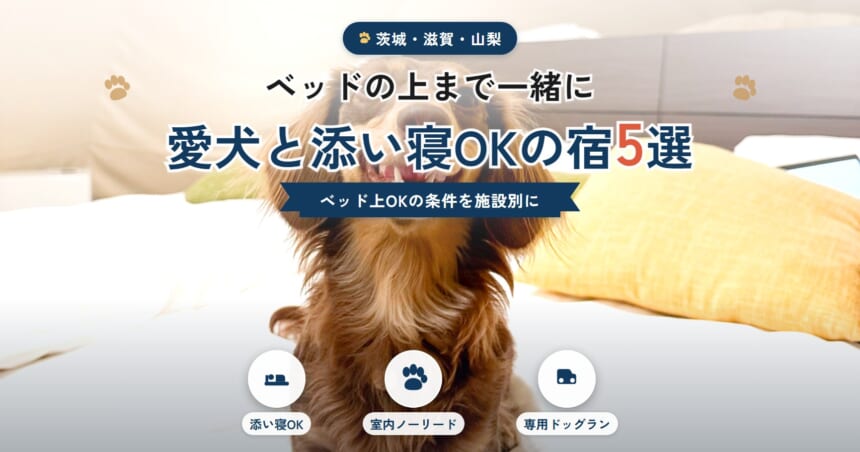 愛犬と添い寝OKの宿5選