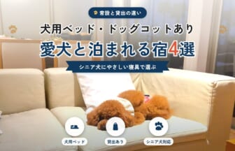 犬用ベッド・ドッグコットがある愛犬と泊まれる宿4選