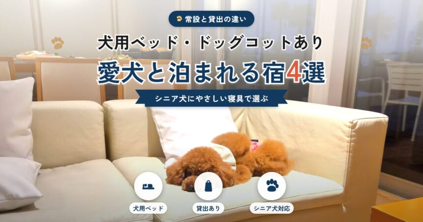 犬用ベッド・ドッグコットがある愛犬と泊まれる宿4選