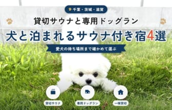 貸切サウナと専用ドッグラン付き 犬と泊まれるサウナ付き宿4選