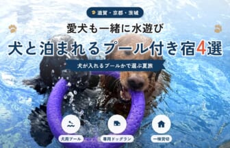 愛犬も一緒に水遊びできる犬と泊まれるプール付き宿4選