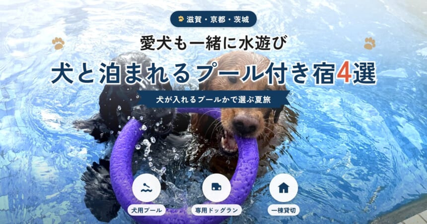 愛犬も一緒に水遊びできる犬と泊まれるプール付き宿4選