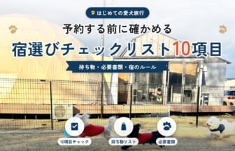 初めての愛犬旅行 宿選びチェックリスト10項目