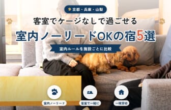 室内ノーリードOKで愛犬と泊まれる宿5選