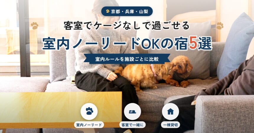 室内ノーリードOKで愛犬と泊まれる宿5選