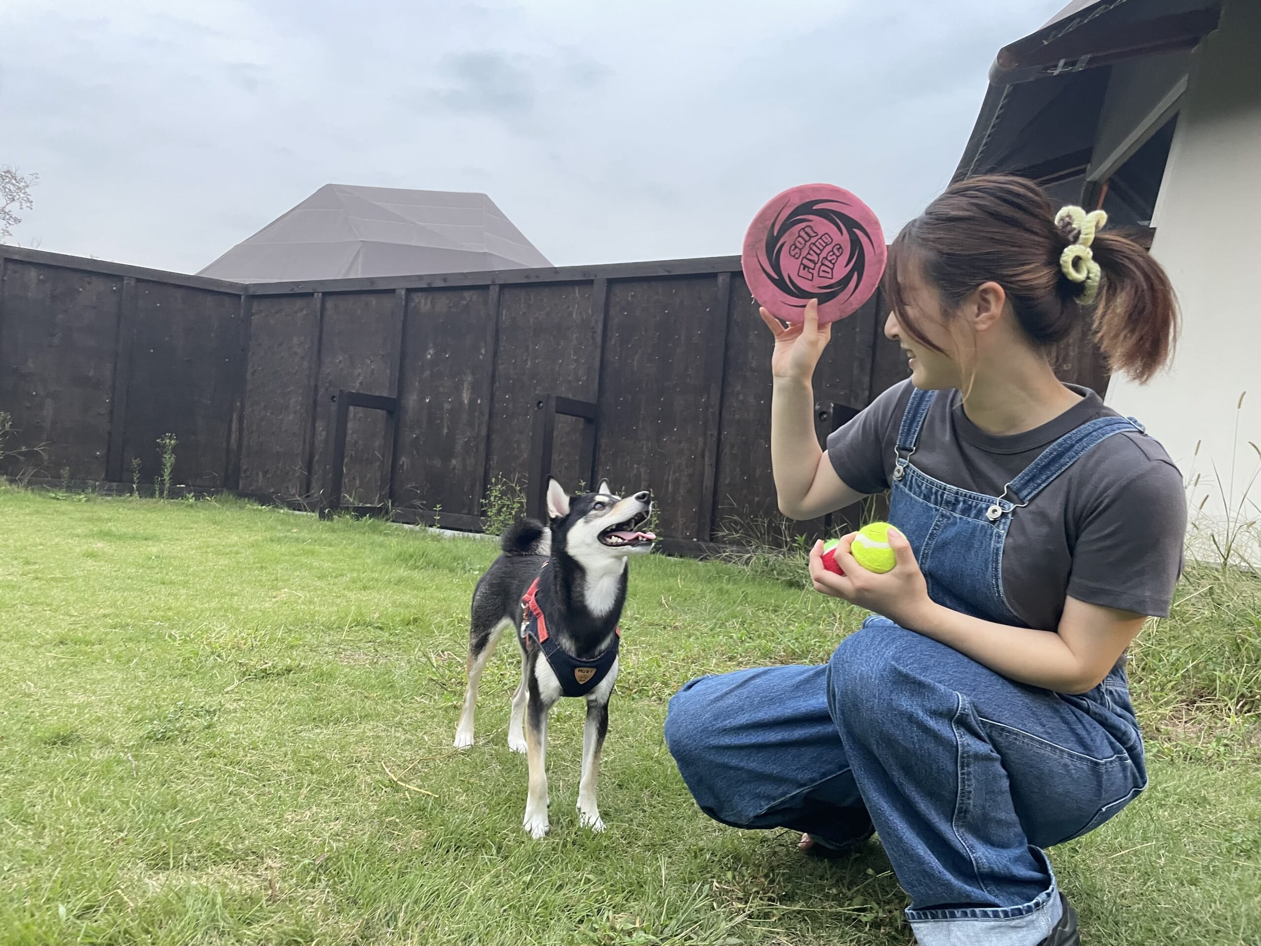 リバーサイドグランピング猪名川の専用ドッグランで遊ぶ愛犬